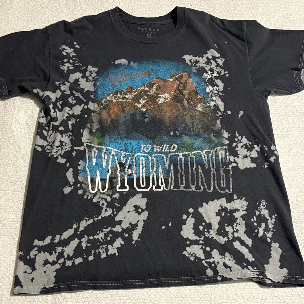 Mens PacSun Wyoming Graphic Tee size M